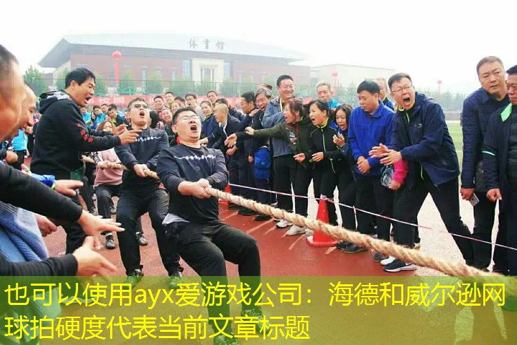 ayx爱游戏公司：海德和威尔逊网球拍硬度