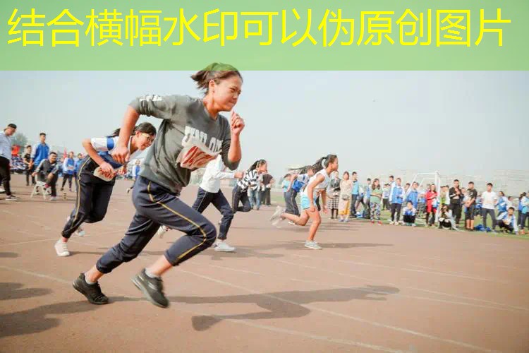 爱游戏ayx集团：乒乓球台选哪种好一点