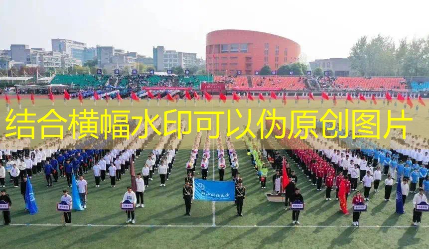 武胜哪里有乒乓球台