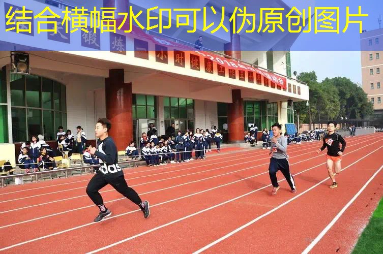 网球拍国行和美行的区别 网球拍国行和美行的区别