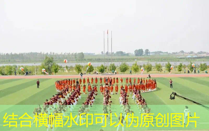 全碳素的网球拍价格是多少 全碳素的网球拍价格是多少