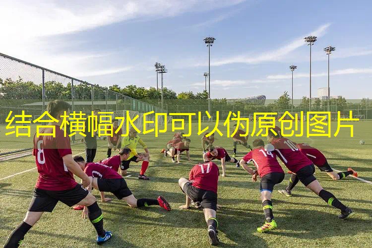 网球拍新款和老款的区别 网球拍新款和老款的区别