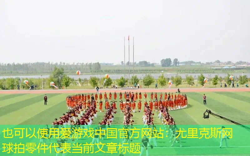 尤里克斯网球拍零件
