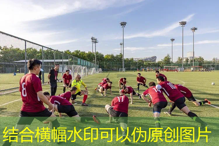 网球拍上连根线和球 网球拍上连根线和球