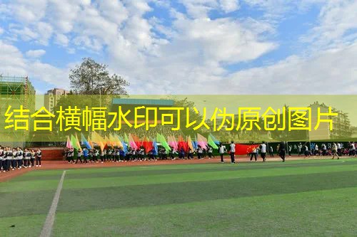 如何选篮球网球拍子型号 如何选篮球网球拍子型号