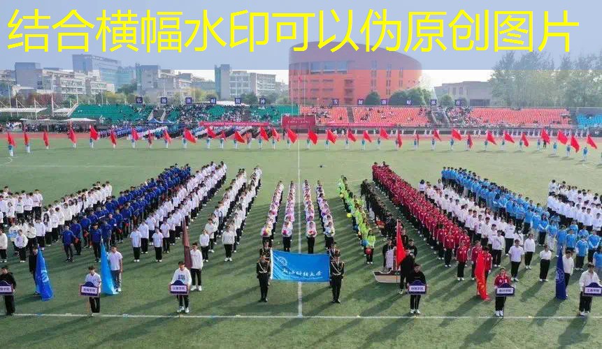 儿童网球拍碳素和铝合金 儿童网球拍碳素和铝合金