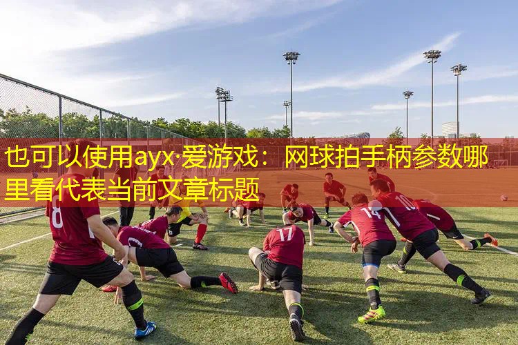 网球拍手柄参数哪里看 网球拍手柄参数哪里看
