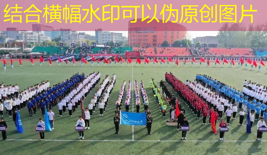 花利体育用品网球拍
