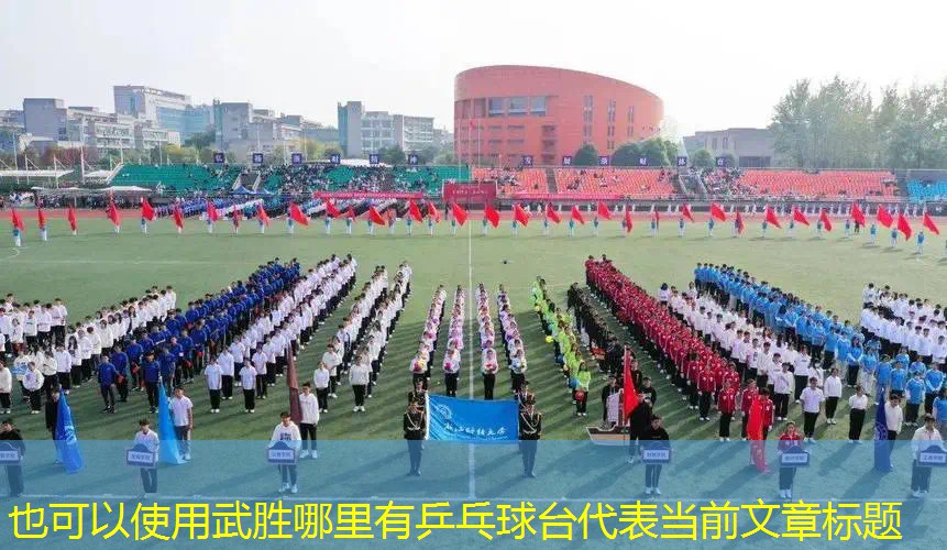 武胜哪里有乒乓球台 武胜哪里有乒乓球台